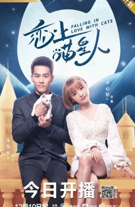 Дорама Влюблен в кошку сериал 2020  смотреть онлайн