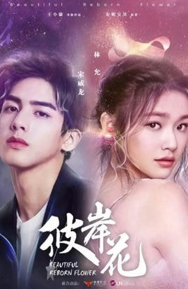 Дорама Прекрасный переродившийся цветок сериал 2020  смотреть онлайн