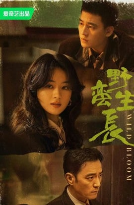 Дорама Дикий цветок сериал 2022  смотреть онлайн