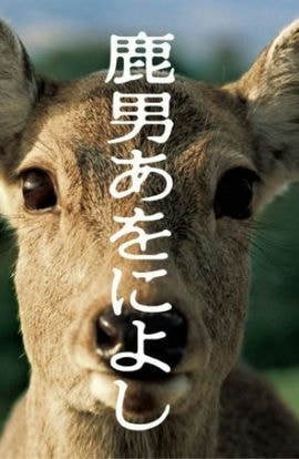 Дорама Великолепный человек-олень сериал 2008  смотреть онлайн