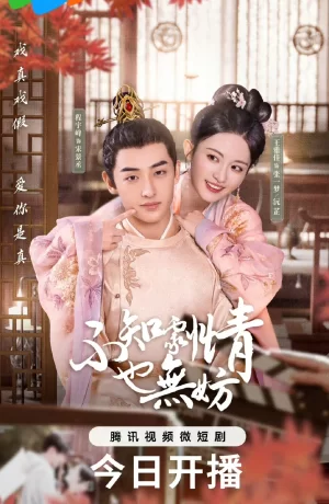 Дорама Знать сюжет необязательно сериал 2024  смотреть онлайн