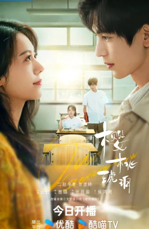 Дорама Вишневый янтарь сериал 2025  смотреть онлайн