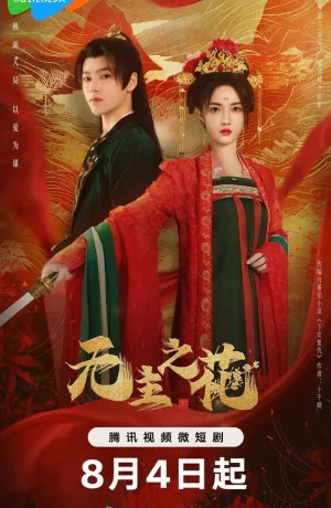 Дорама Леди-командир сериал 2024  смотреть онлайн