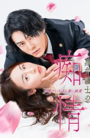 Дорама Слепая страсть адвоката в черном сериал 2025  смотреть онлайн